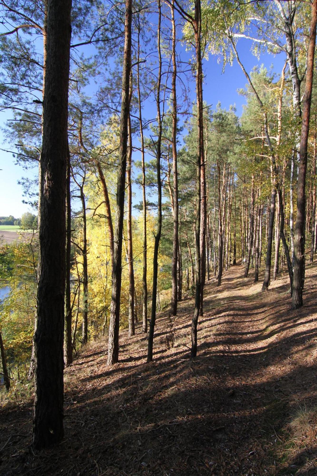 Osada Osjaków Esterno foto